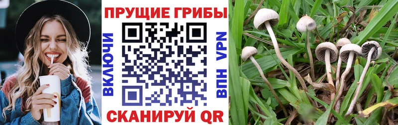 Галлюциногенные грибы GOLDEN TEACHER  Гусев 