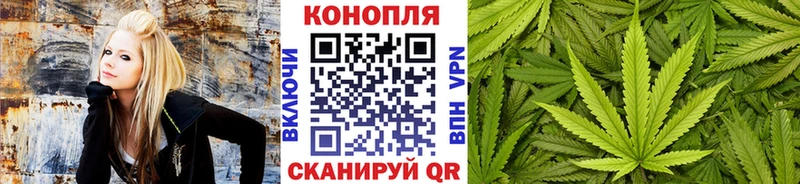 МАРИХУАНА OG Kush  Гусев 